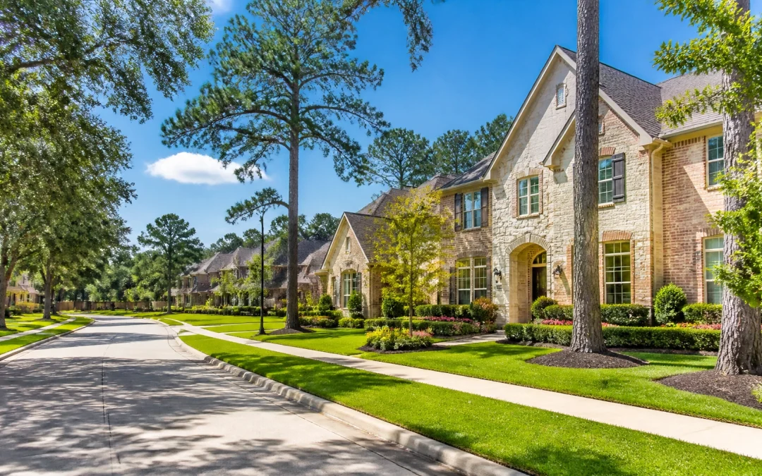 Sunny Houston residential street scene during summer